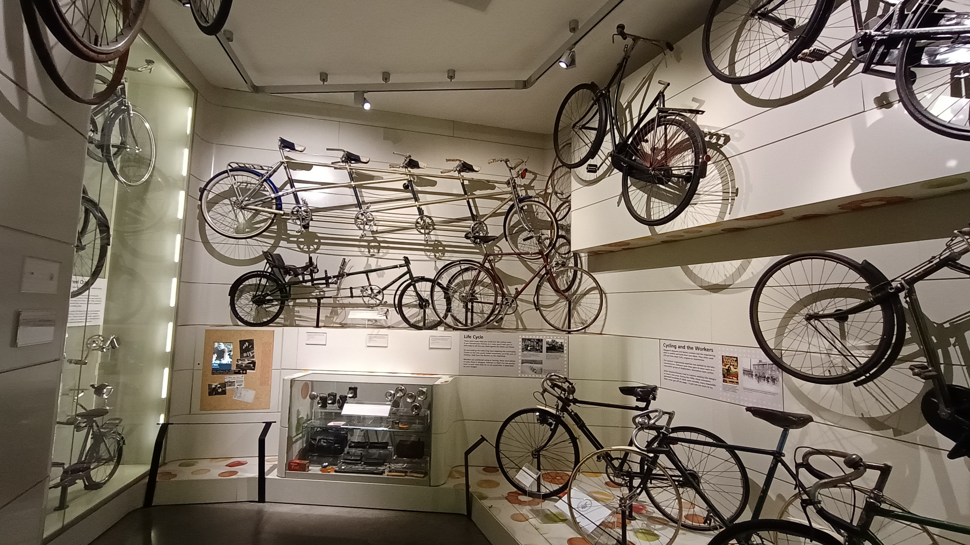 Various Bikes